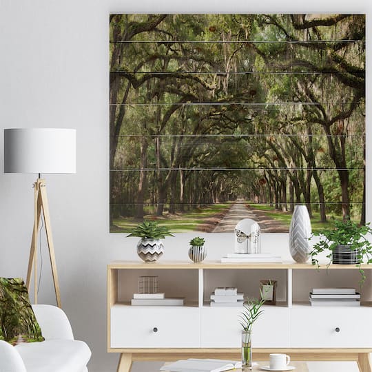 Designart - Live Oak Tunnel - Photography Print on Natural Pine Wood